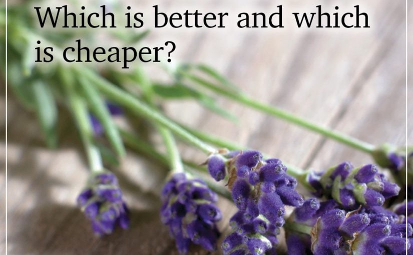 Cremation vs. Burial – Which Is Better and Which Is Cheaper?